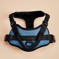 Everyday Caramel Harness
