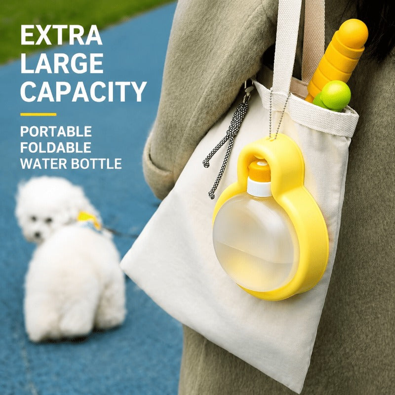 Portable Water Bottle
