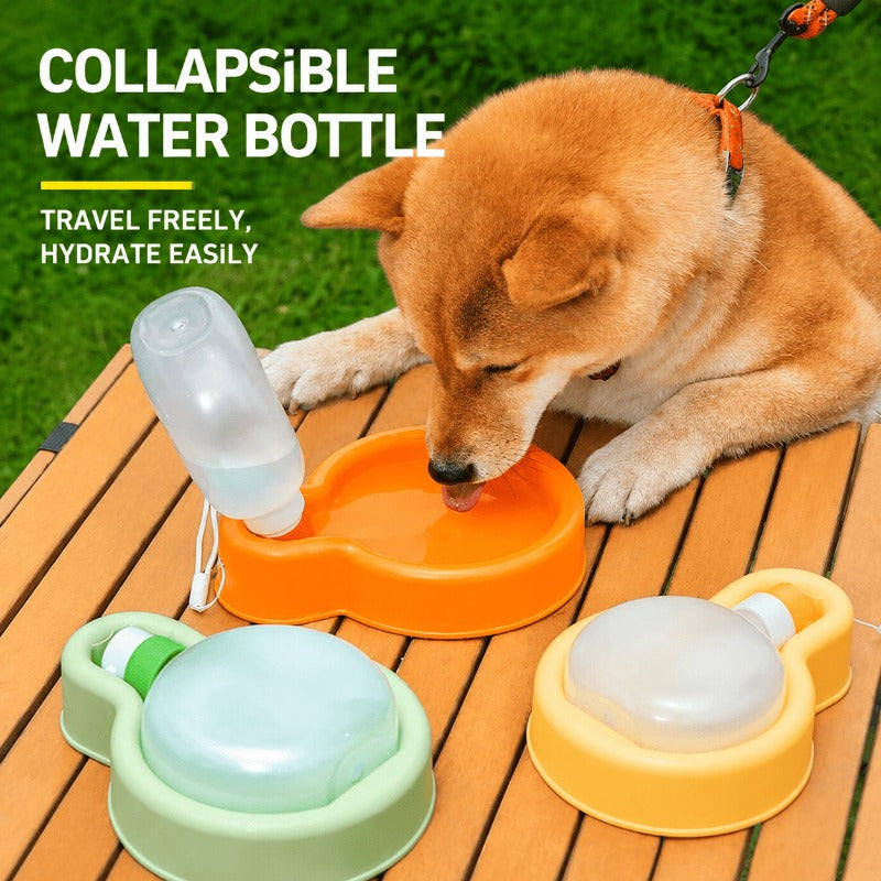 Portable Water Bottle